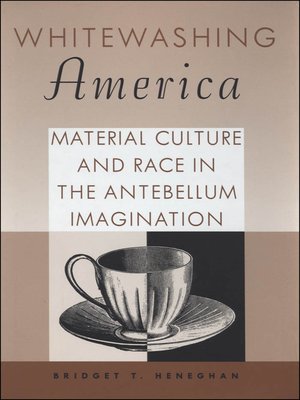 cover image of Whitewashing America